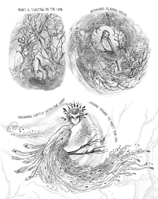 The Secret Language of Trees (signed book)