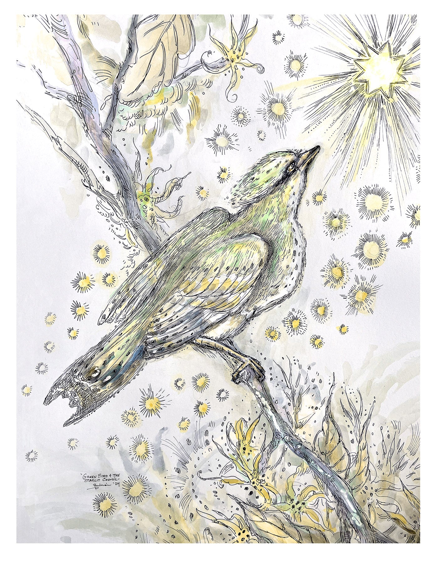 Green Bird and the Starlight Council