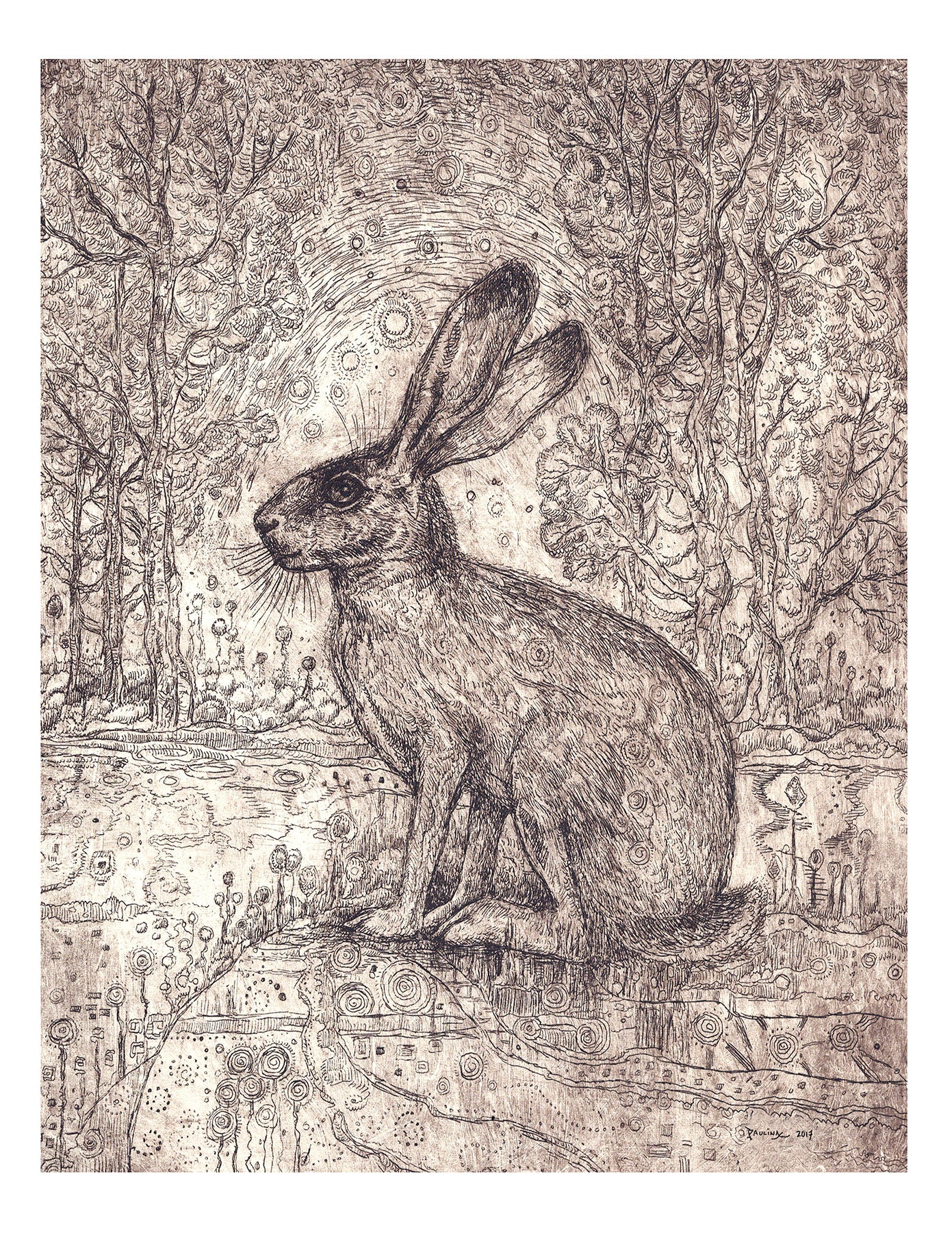 Rabbit Beneath a Starry Sky