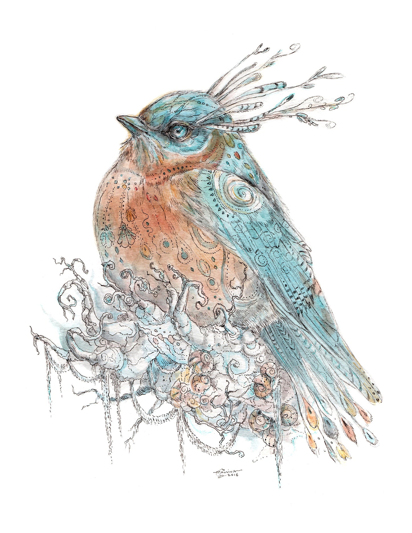 Dreamland Bluebird