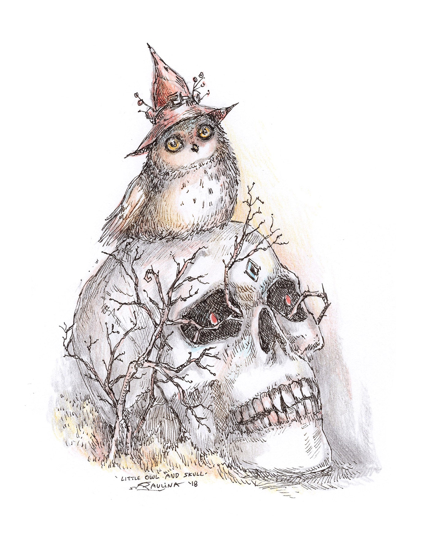 Little Owl and Skull