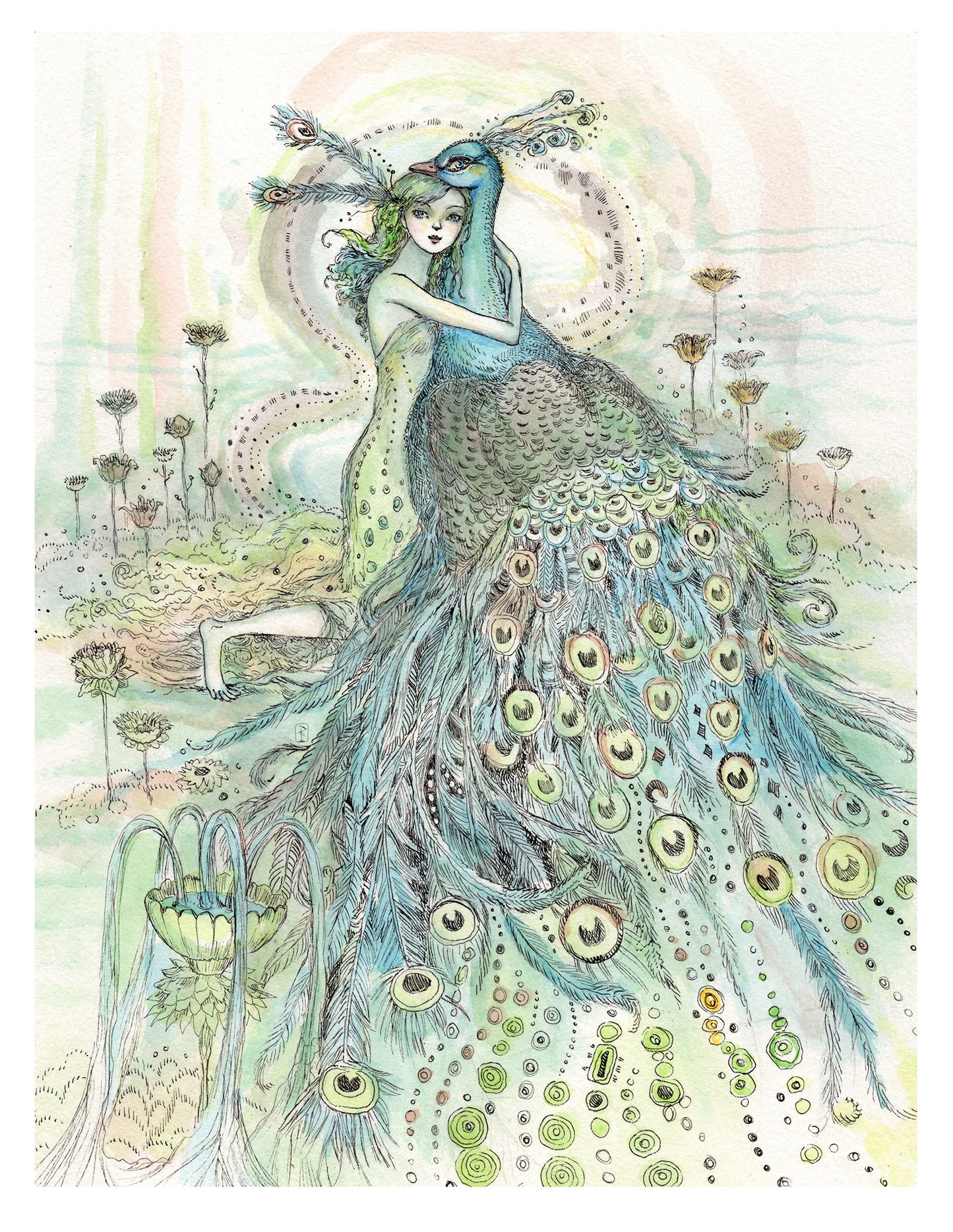 Peacock Hug (Sunlight)