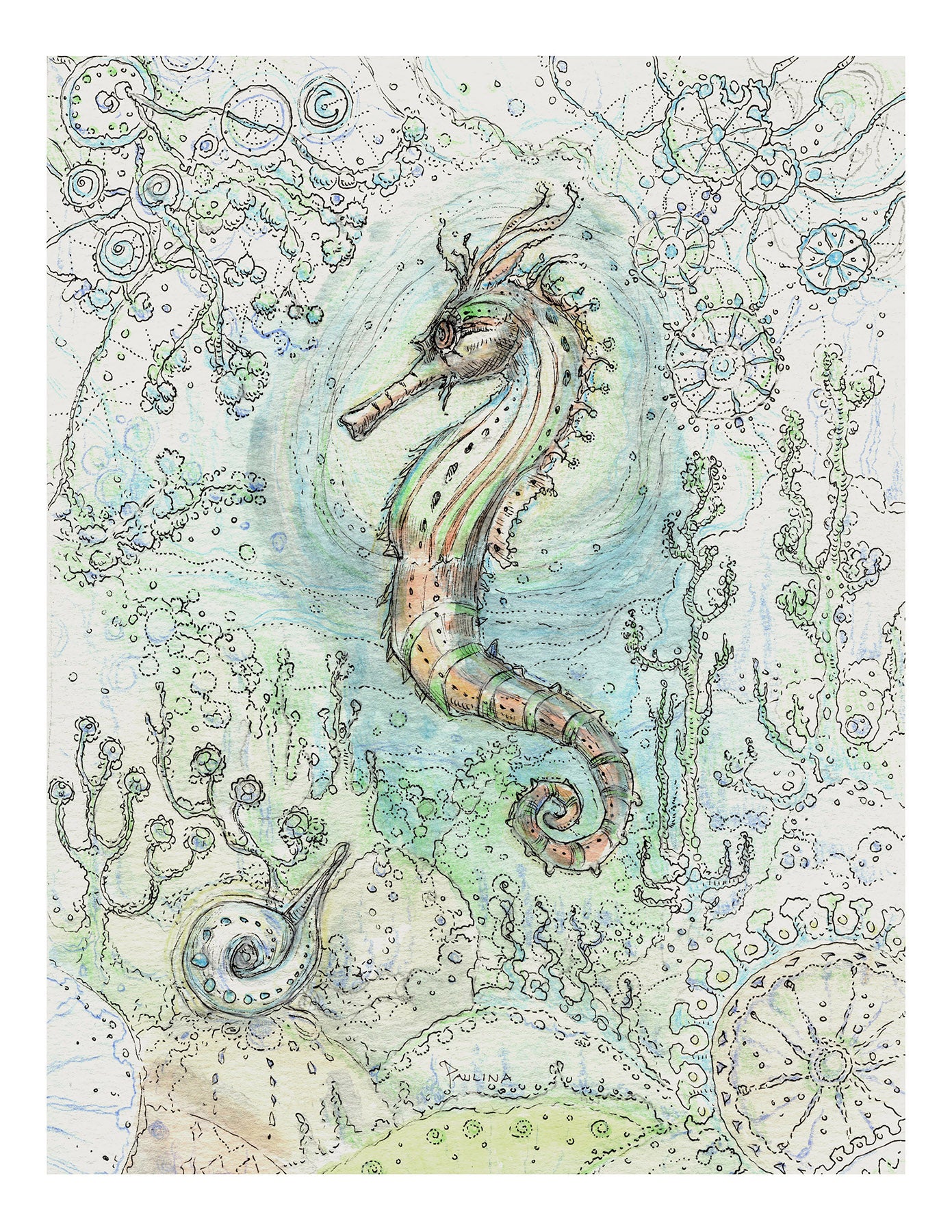 Spiritsong Seahorse