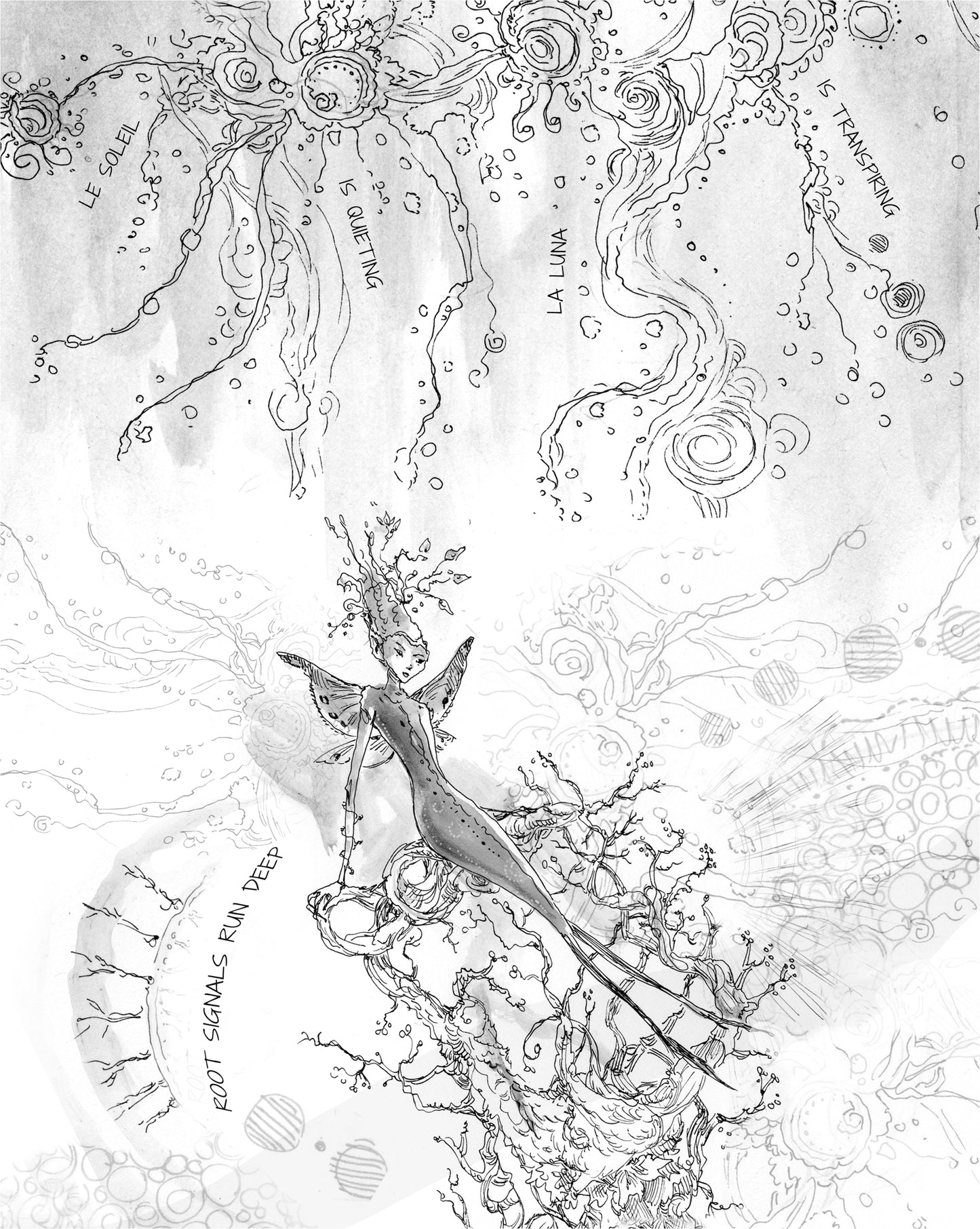 The Secret Language of Trees (signed book)