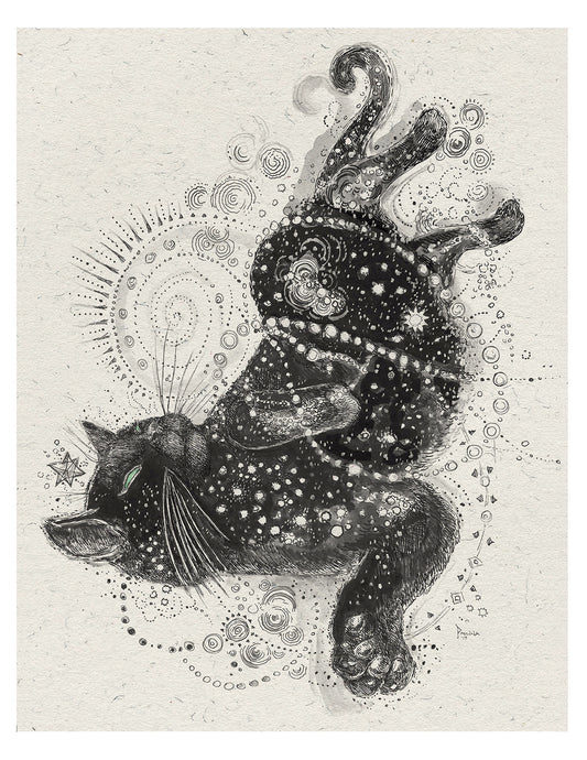 Constellation Kitty