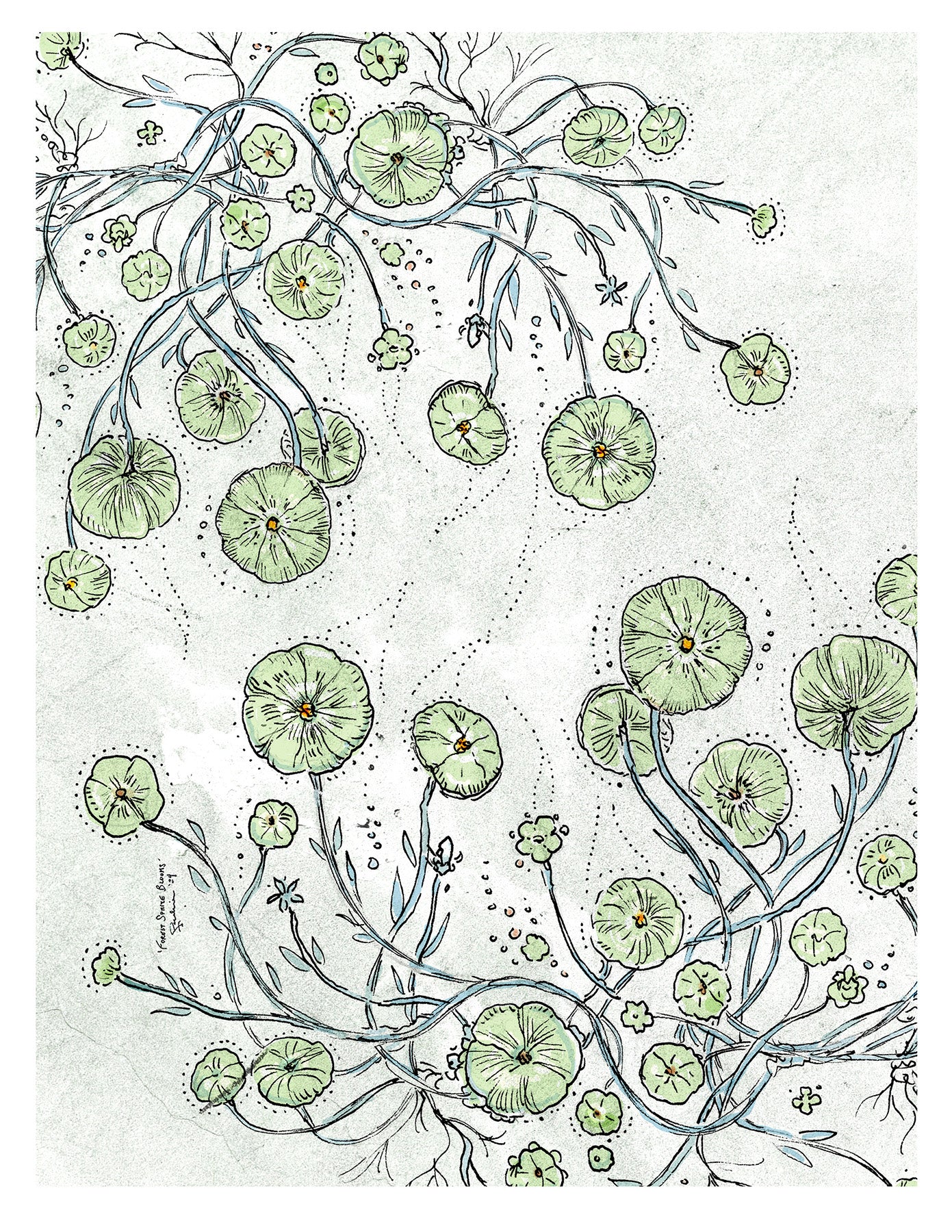 Forest Sprite Blooms