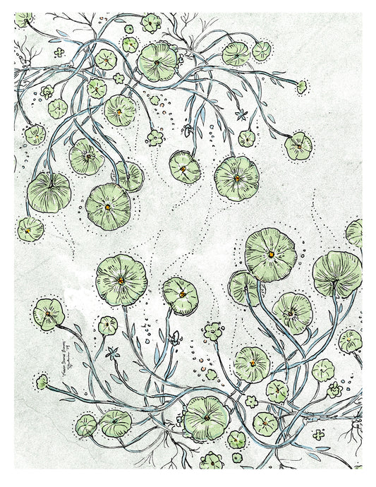 Forest Sprite Blooms