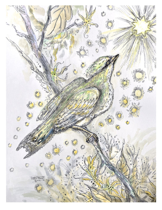 Green Bird and the Starlight Council