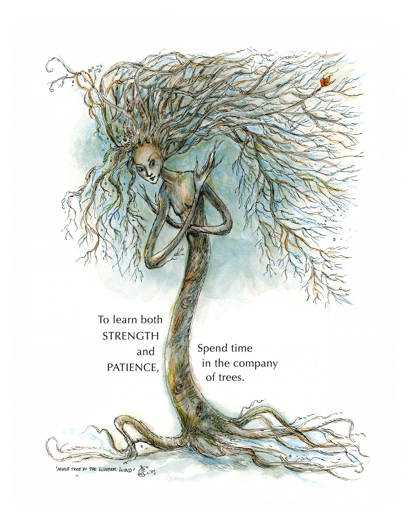 Maple Tree in the Winter Wind