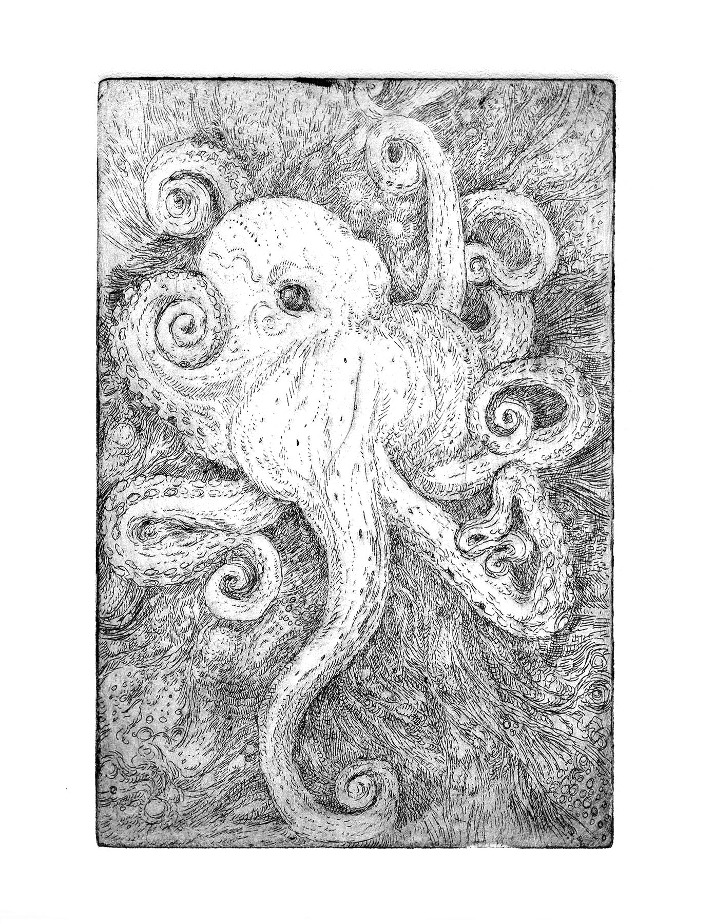 Opal Octopus