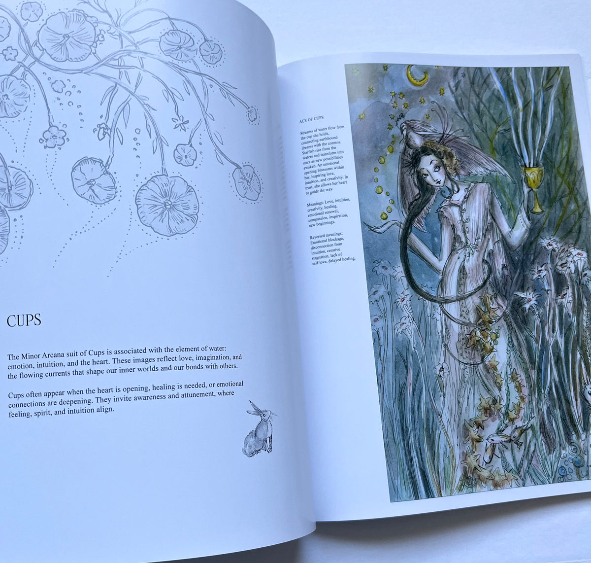 NEW: The Living Arcana: A Visual Journey Through the Paulina Tarot (signed limited-edition book)
