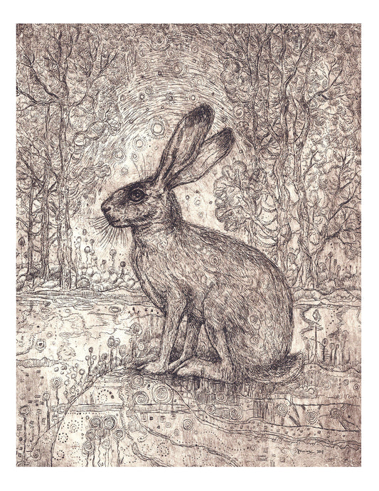 Rabbit Beneath a Starry Sky