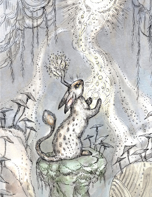 Starfall