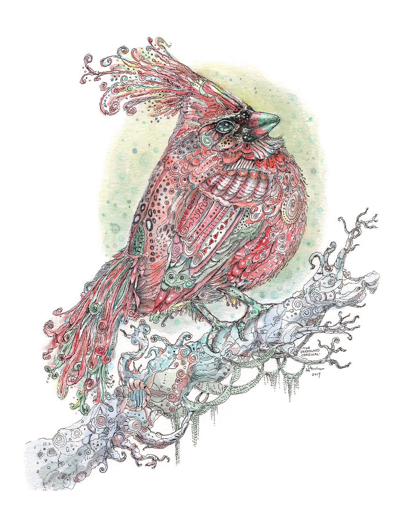 Dreamland Cardinal