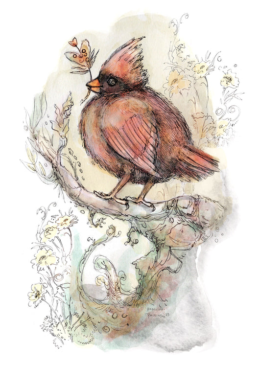 Fluffy Little Cardinal