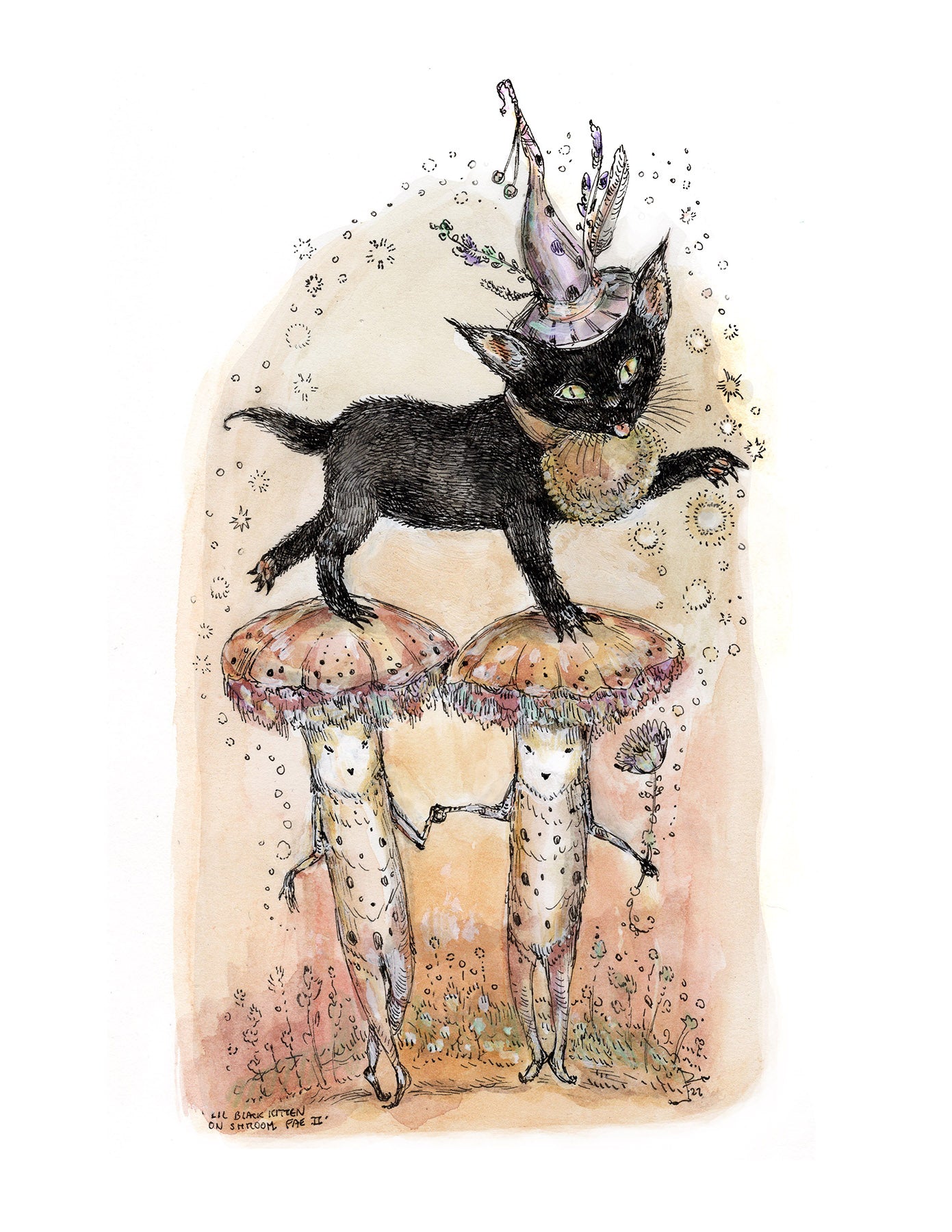 Little Black Kitten 2