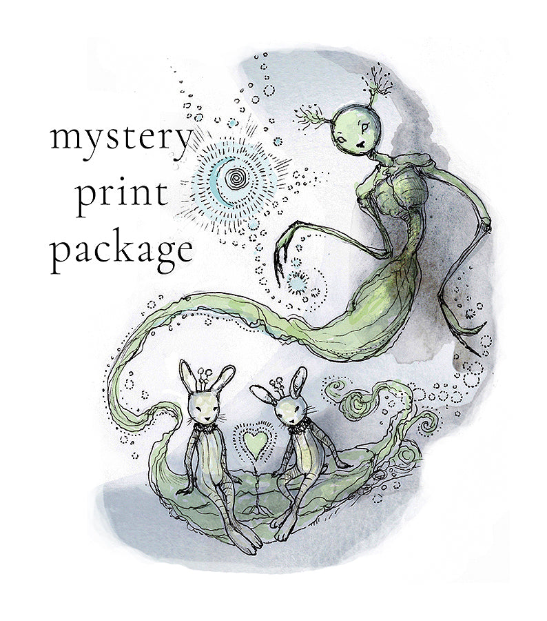Mystery Print Package