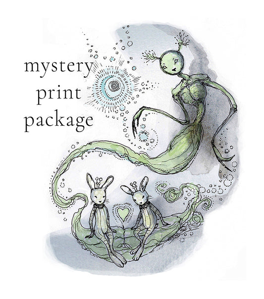 Mystery Print Package