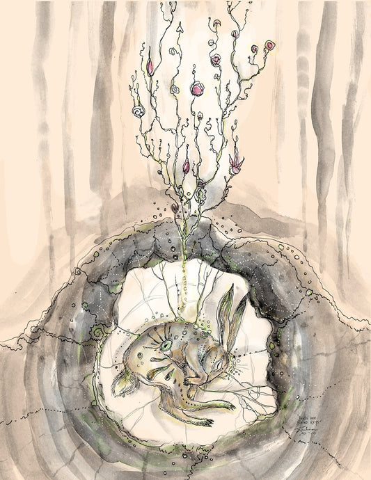 Seeds Are Buried Keys