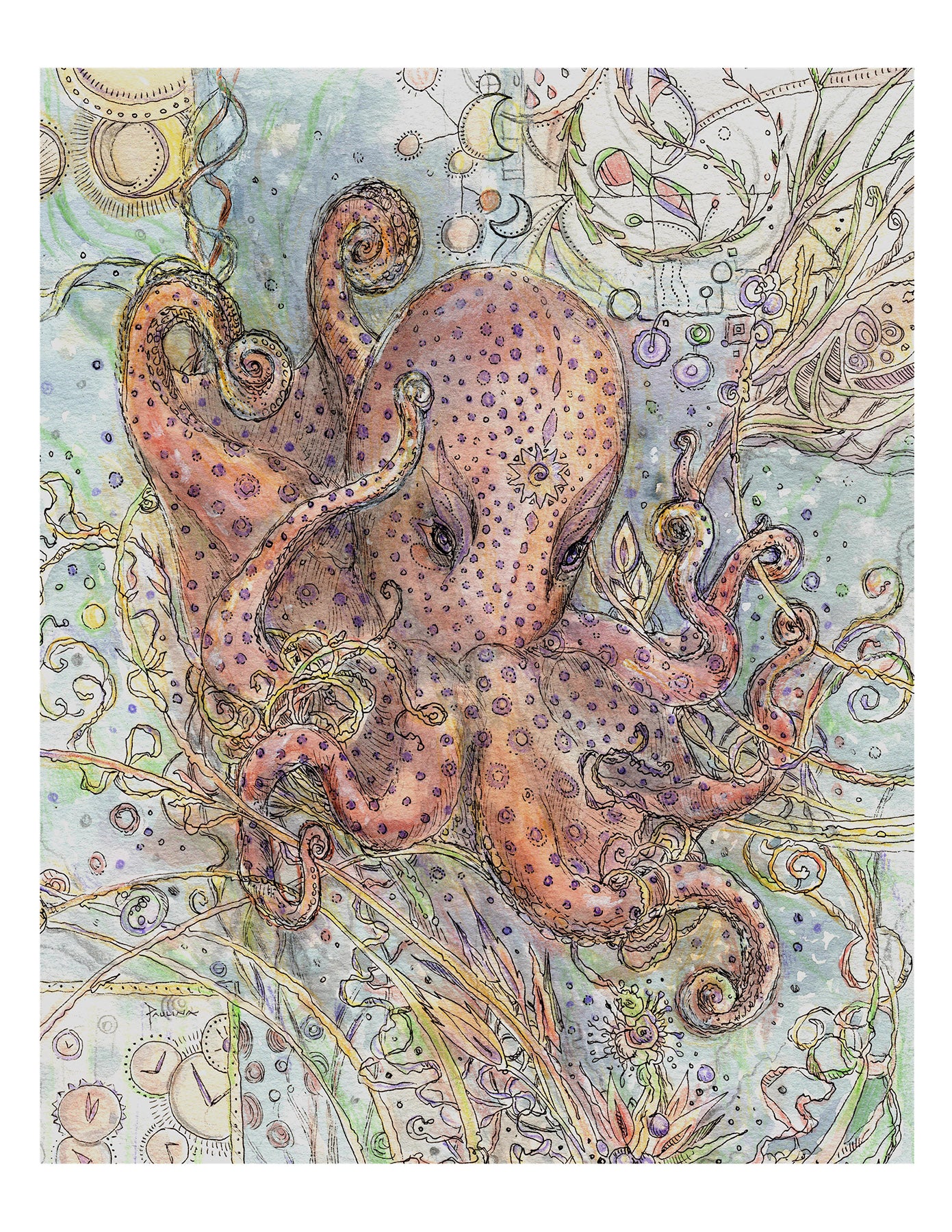 Spiritsong Octopus