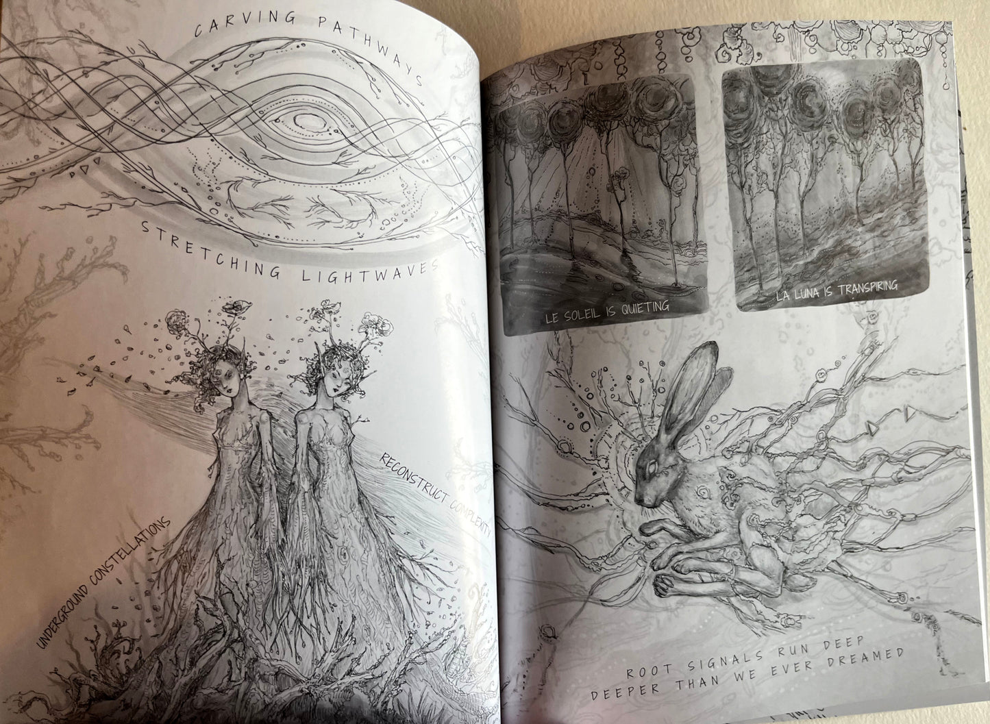 The Secret Language of Trees (signed book)