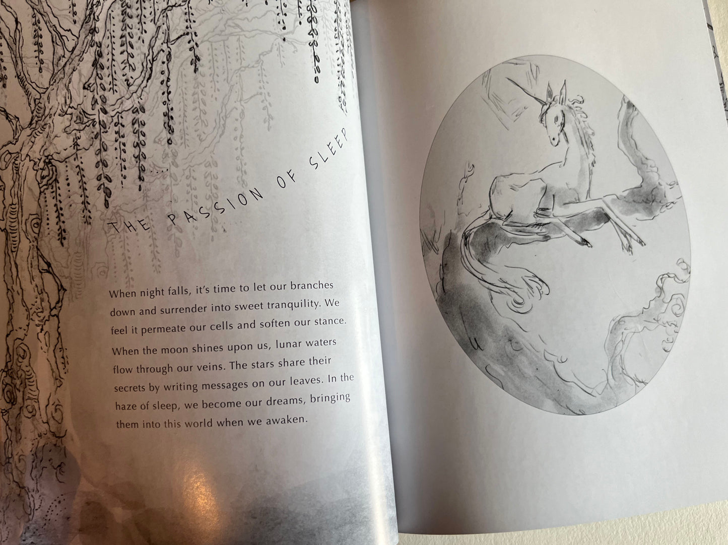 The Secret Language of Trees (signed book)