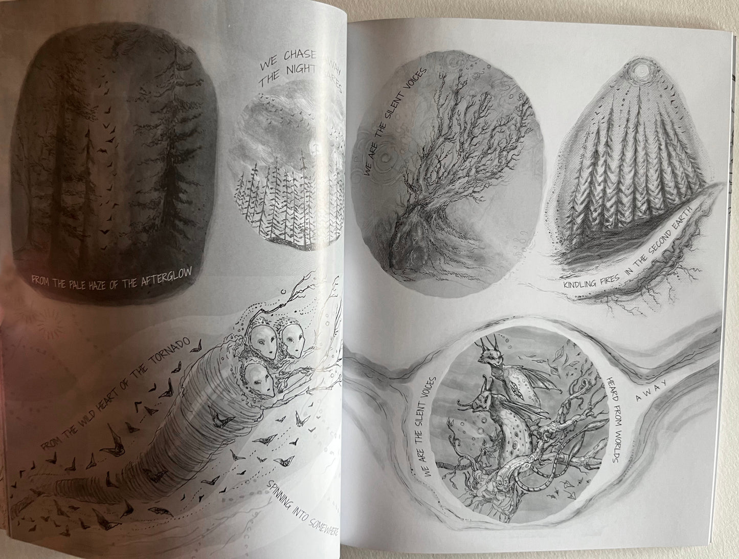 The Secret Language of Trees (signed book)